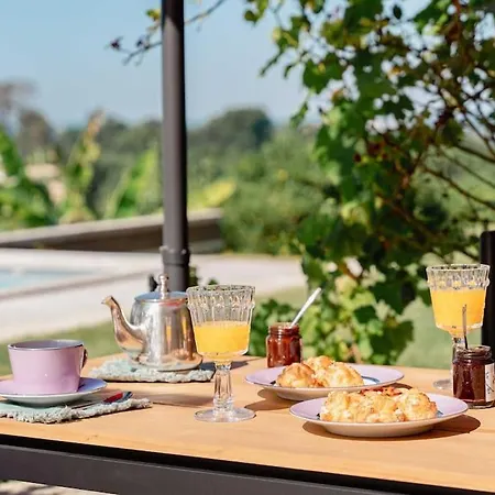 Domaine De La Peyrine - Hirondelle Inn *