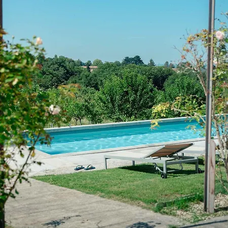 Domaine De La Peyrine - Hirondelle Carignan-de-Bordeaux